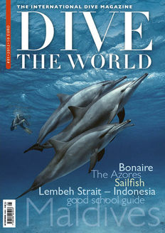 DIVE THE WORLD er sendt til tryk!